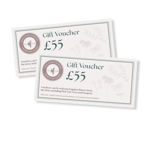 £55 Gift Voucher